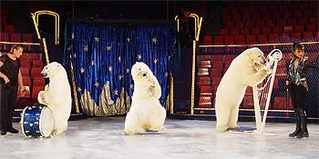 Цирк на льду - незабываемое зрелище. Фото с сайта: icecircus.ru
