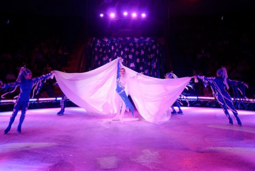 "Цирк на льду" перебрался из Ялты в Севастополь. Фото с сайта: 0654.com.ua