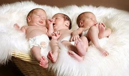 В Новый год родились три малышки. Фото tourdnepr.com
