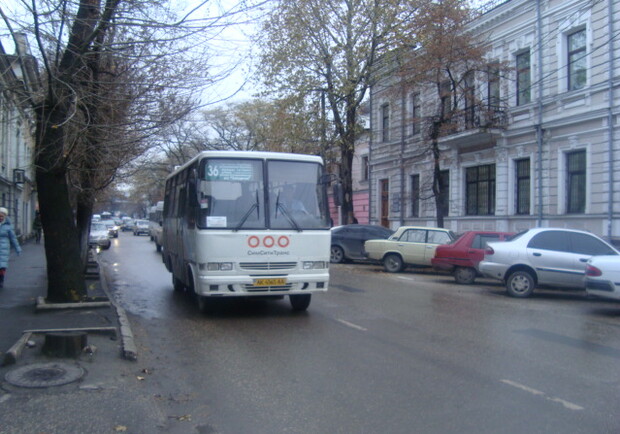 Депутат Аксенов считает, что перевозчики должны переходить на вместительные автобусы. Фото Инны Форт
