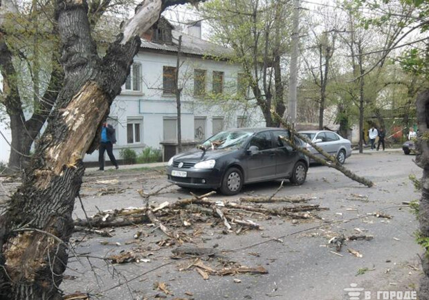 Машина попала под град из веток. Фото Константина Могарычова.