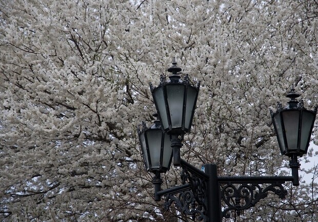 Весна в Севастополе. Фото: julya-kondratenkо