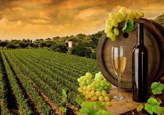 Новость - Досуг и еда - В Крыму пройдет винный фестиваль "WineFeoFest"