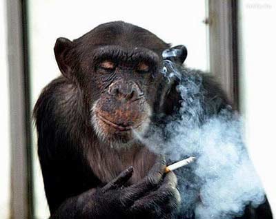 О том, что курение - это болезнь, знает каждый. Фото с сайта happydoctor.ru