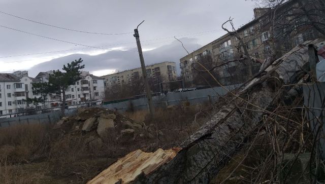 В Крыму штормовой ветер валит деревья и заборы