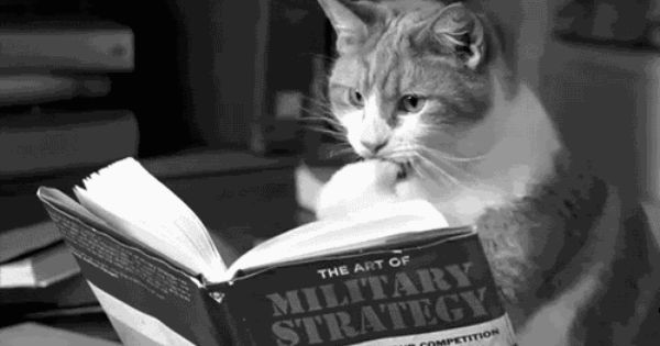 Полезно знать: 40 бесплатных онлайн-курсов вузов Европы и США