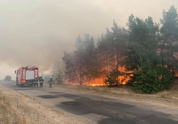 В Луганской области масштабные пожары в лесах. Фото: Офис Генпрокурора