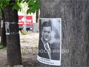 Портреты президента приклеивали к деревьям. Фото novoross.info.
