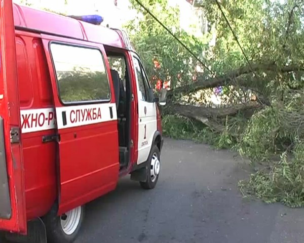 В Севастополе рухнувшее на дорогу дерево оборвало провода и повредило троллейбусную линию. Фото УМЧС Севастополь