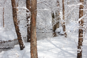Зима решила порадовать крымчан снежком. Фото: sxc.hu