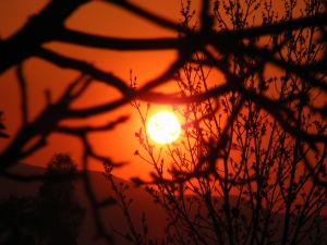 Севастополе перейдет на солнечную энергию. Фото sxc.hu