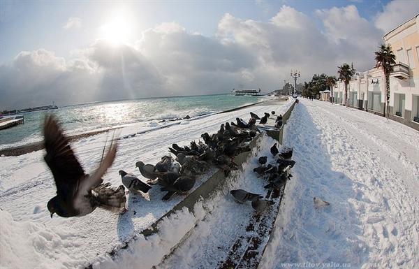 Синоптики снова обещают снег. Фото Сергея Титова