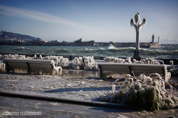 Ялту очистят от последствий суровой зимы. Фото: Кристина Иванушкина.