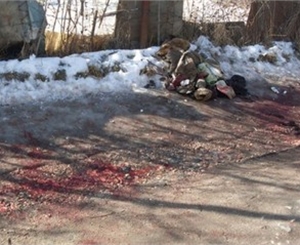 Девушку бросили умирать на улице. Фото: e-crimea.info