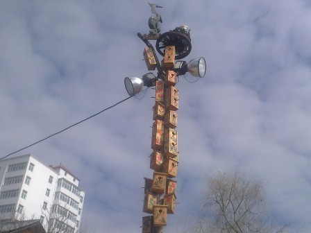 Новость - События - Фотофакт: в Севастополе построили птичью многоэтажку