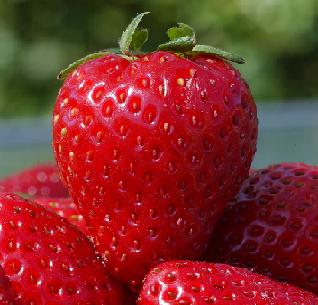 Ранние овощи и ягоды есть не рекомендуют. Фото: ufc.ua