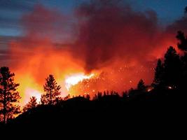Пожары губят крымские леса. Фото: transmradio.com.