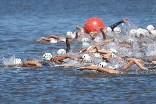 Фото с сайта krivbass-masters.com. Плавание на открытой воде становится популярным видом спорта