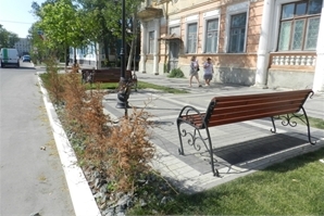 На улице Горького в 2011 году высадили новые деревья и поставили лавочки. Однако молодые туи не выдержали мороза, а лавочки пустуют из-за жары. Фото автора.