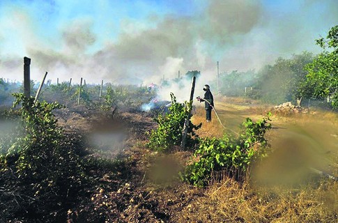 Спасатели тушат лес гектарами. Фото пресс-службы МЧС Севастополя