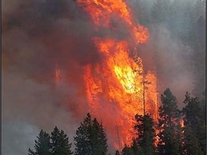 Огонь возник на склоне горы, но быстро распространяется. Фото с сайта go2load.com.