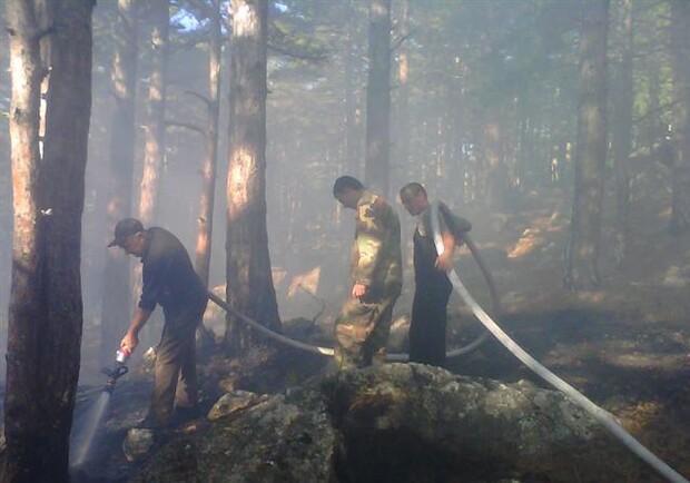 Под Алупкой тушили сразу 8 очагов лесного пожара. Фото: investigator.org.ua