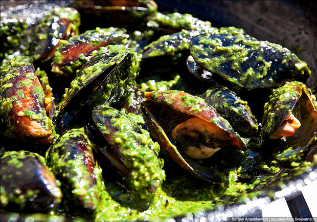 Новость - Досуг и еда - Мидии на мангале и под сырным соусом: как готовят морские деликатесы в Севастополе 