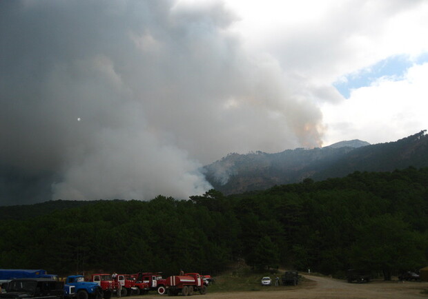Под Ялтой снова горит лес. Фото: investigator.org.ua