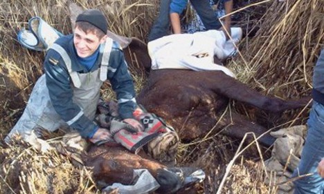 Спасли коня. Фото пресс-службы ГУ МЧС Крыма.