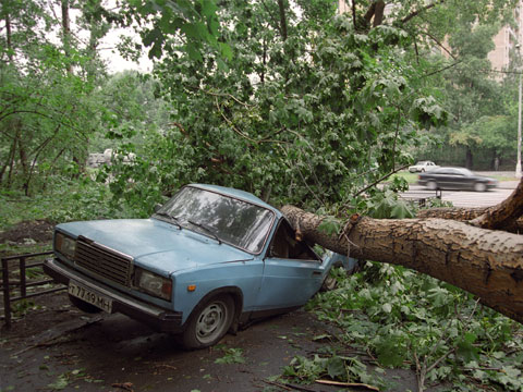 Ураган в Крыму натворил немало бед. Фото: ntv.ru
