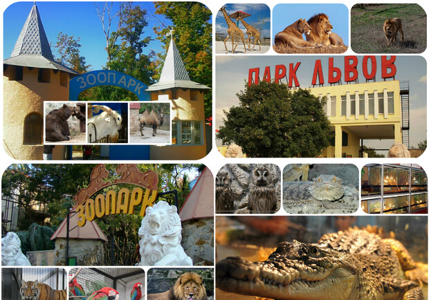 Новость - Досуг и еда - Все зоопарки Крыма: обитатели, цены, как добраться