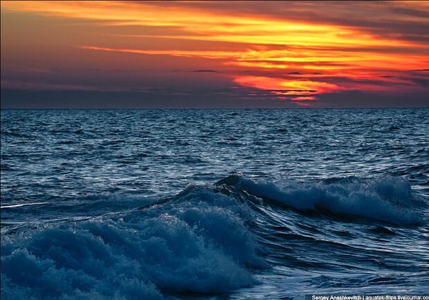 Подводные фото черного моря