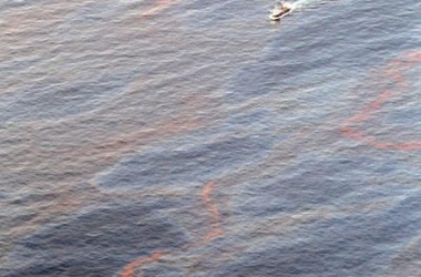 В море появились темные пятна. Фото: fresh.org.ua  