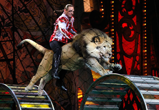 В цирке приготовили новое шоу. Фото: picnewsday.ru