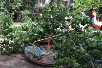 Новость - События - В Симферополе огромный тополь рухнул на детскую площадку