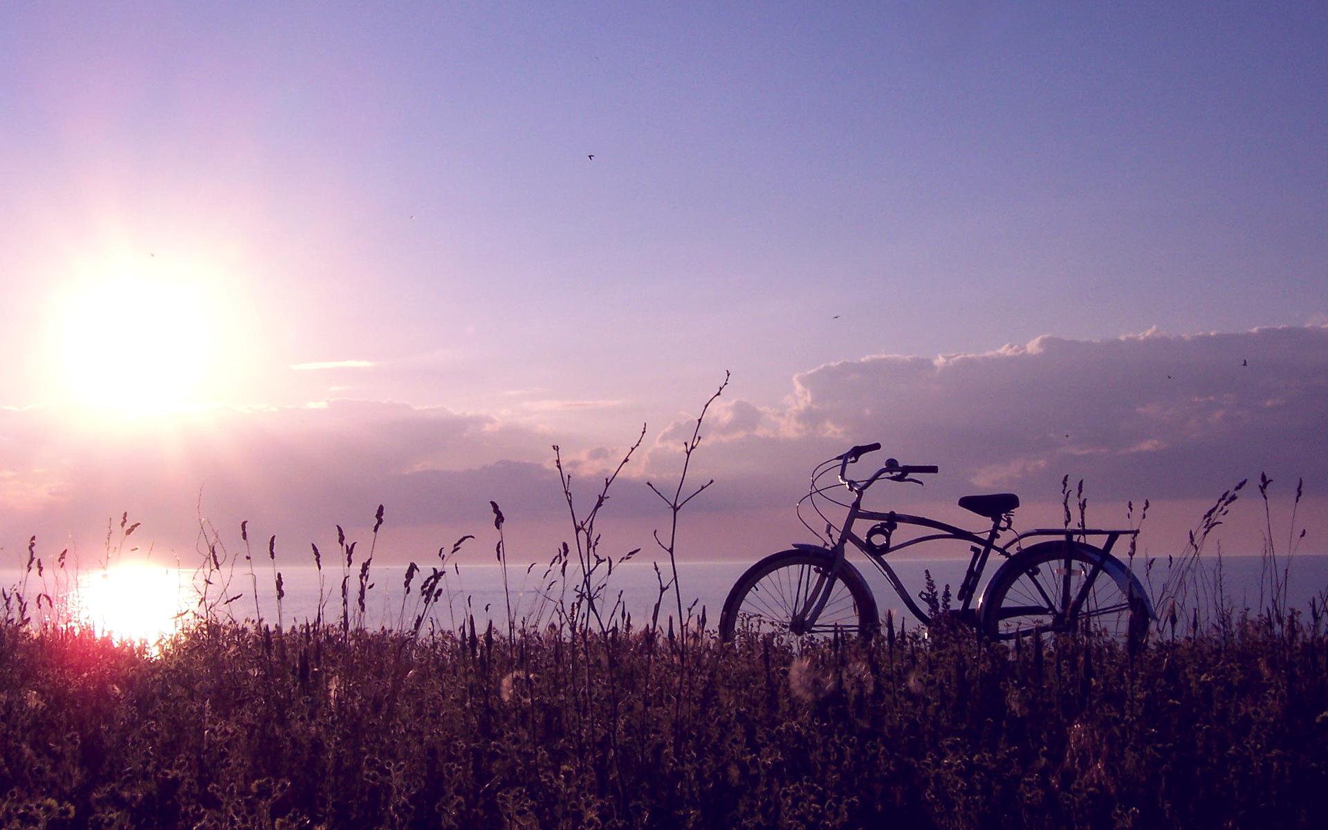 Картинки конца лета. Июль пейзаж. Пейзаж с велосипедом. Лето Эстетика. Велосипед на природе.