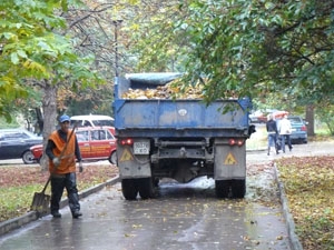 Опавшую листву вывозят на свалку. Фото с сайта "КП".