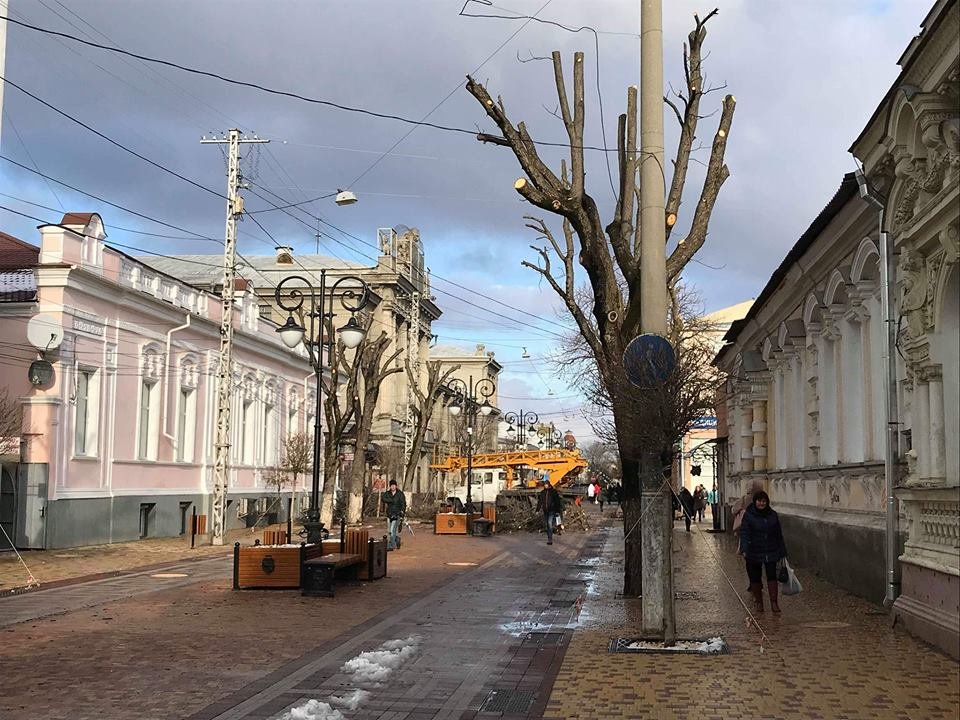 Симферополь пушкина. Симферополь в декабре. Симферополь в декабре фото. Порезанные деревья на улице. Красивые фото в декабре Симферополь.