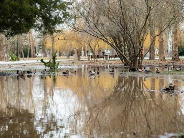 Почему в Гагаринском парке появилось болото. Фото: Константин Михальчевский