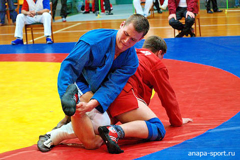 В городе прошел турнир по боевому самбо. Фото с сайта anapa-sport.ru
