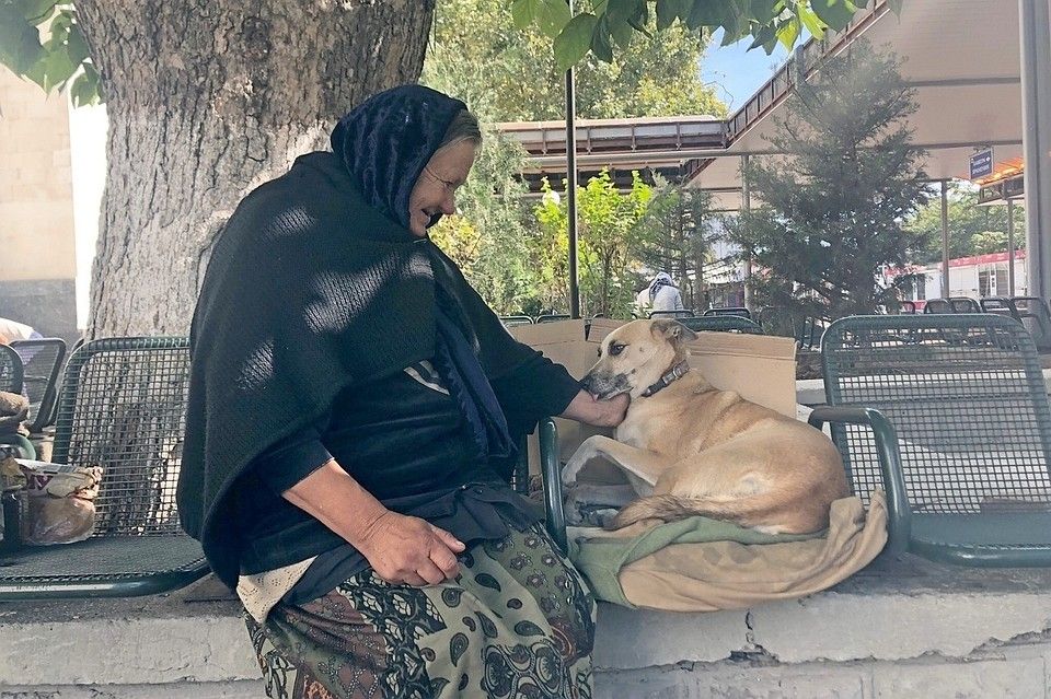 В Симферополе пенсионерка живет на вокзале ради собаки
