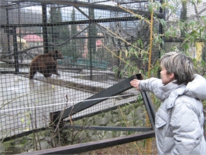 В зоопарке медведица Маша пробыла меньше недели. Фото с сайта kp.ua