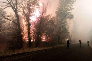 Масштабные пожары в Луганской области: на помощь поехали спасатели из Запорожья фото 1