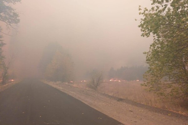 Масштабные пожары в Луганской области: на помощь поехали спасатели из Запорожья фото 4