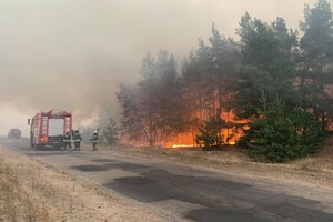 Масштабные пожары в Луганской области: на помощь поехали спасатели из Запорожья фото 6