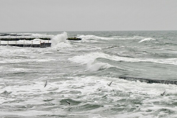 Терапия морем: смотрите, как штормит на одесских пляжах  фото 1
